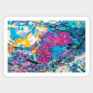 Mica schist folds, polarised light LM (C034/6913) Sticker